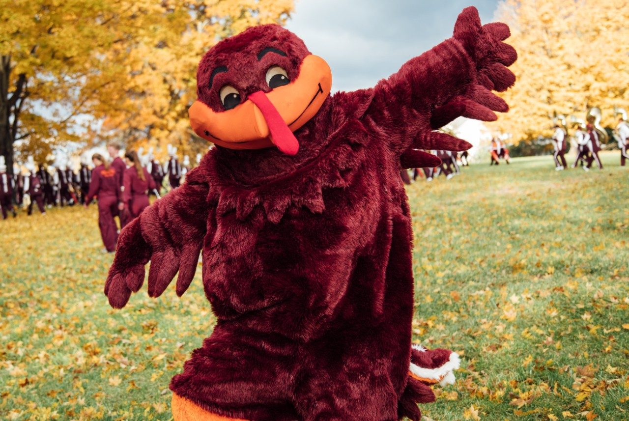 Orientation Advising Hokie Bird